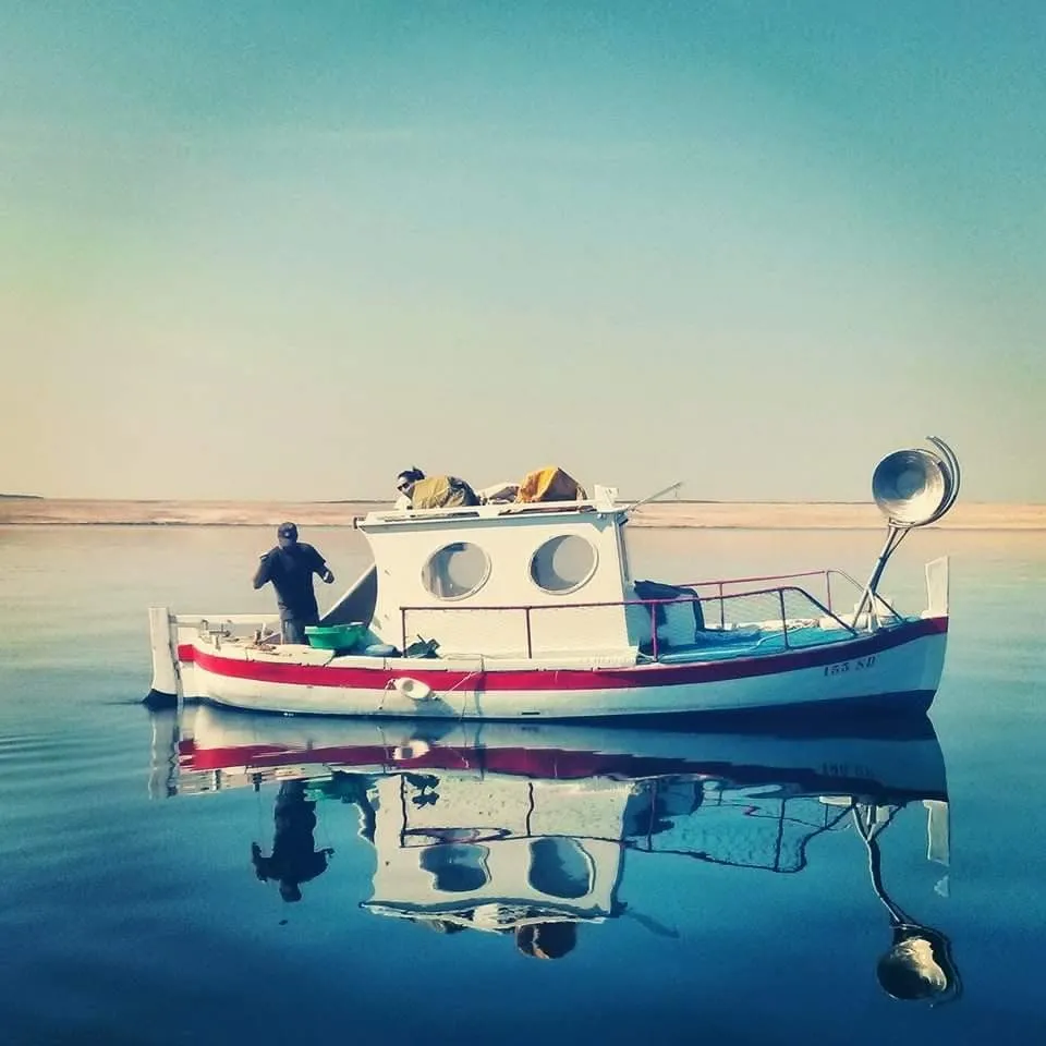 Ribolov s domaćinom